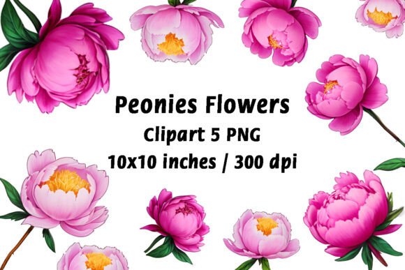 Peonies Flowers Clipart: Elevating Your Creative Projects with High-Resolution Blooms